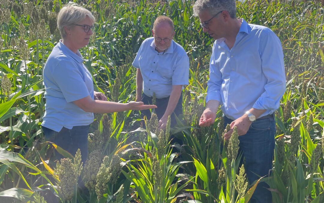 Landwirtschaft im Zeichen der Bundespolitik: Gespräch mit Dr. Stefan Nacke auf dem Hof Schulze Bockeloh