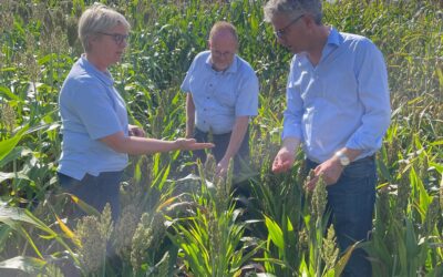 Landwirtschaft im Zeichen der Bundespolitik: Gespräch mit Dr. Stefan Nacke auf dem Hof Schulze Bockeloh